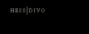 Hess-Divo AG