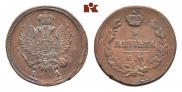 Denga 1811 year