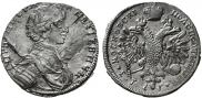Polupoltinnik 1713 year