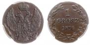 1 grosz 1836 year