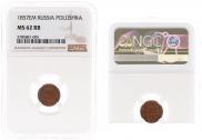 Polushka 1857 year