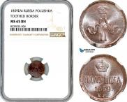Полушка 1859 года