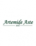  Artemide Aste s.r.l.