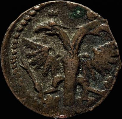 Фото Полушка 1720 года НД 