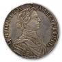 Polupoltinnik 1713 year