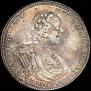 Poltina 1725 year