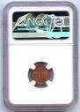 1 penni 1870 year