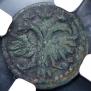 Polushka 1718 year