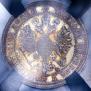 Poltina 1860 year