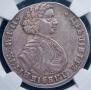 Poltina 1707 year
