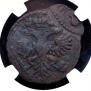 Denga 1731 year