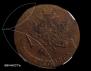 5 kopecks 1762 year