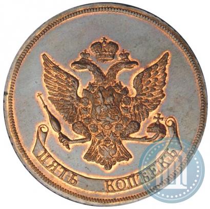 Picture 5 kopecks 1765 year  