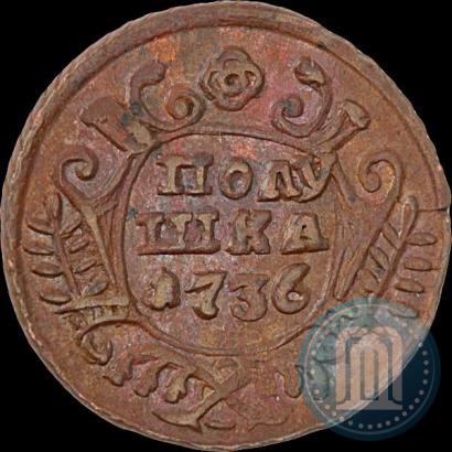 Фото Полушка 1736 года  