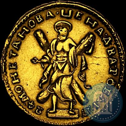 Picture 2 roubles 1724 year  "Portrait in ancient armour"