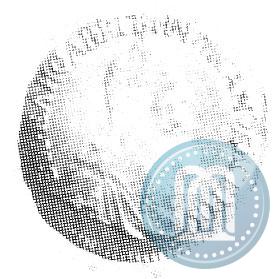 Picture 1 rouble 1756 year  