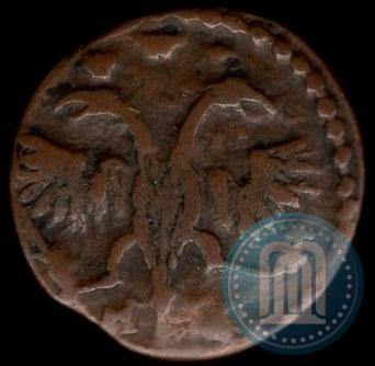 Picture Polushka 1721 year  