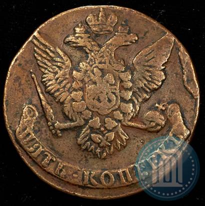 Picture 5 kopecks 1761 year  