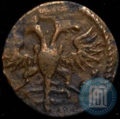Picture Polushka 1722 year  