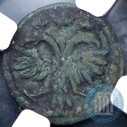 Picture Polushka 1718 year  