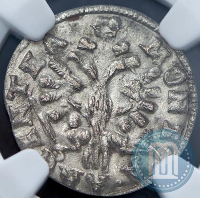 Фото Солид 1760 года  