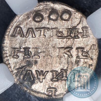 Picture Altyn 1718 year  