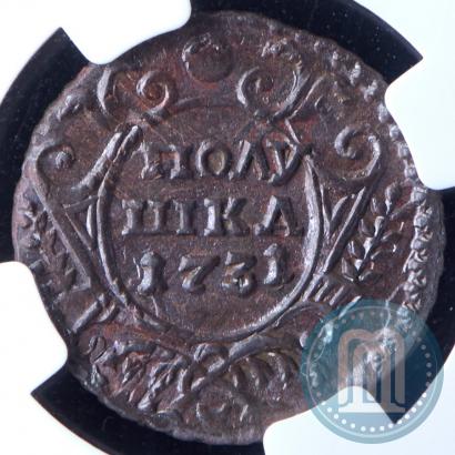 Picture Polushka 1731 year  
