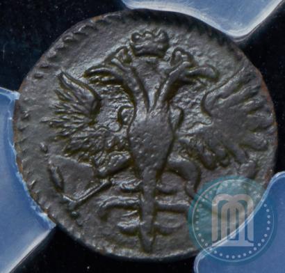 Picture Polushka 1721 year  