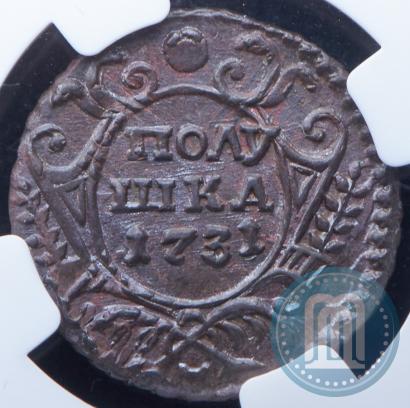 Picture Polushka 1731 year  