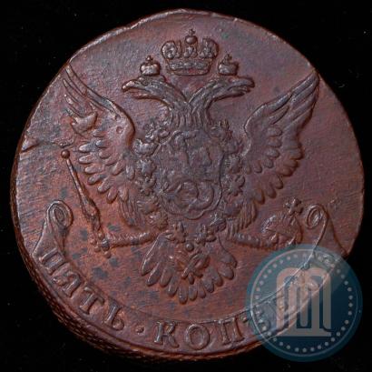 Picture 5 kopecks 1761 year  