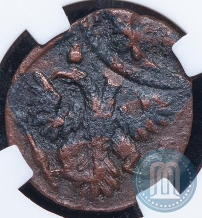 Picture Polushka 1736 year  