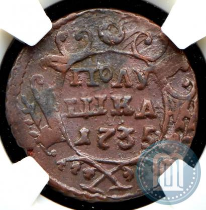 Фото Полушка 1735 года  