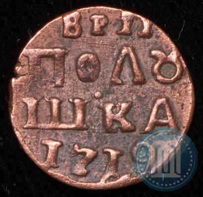 Picture Polushka 1719 year  