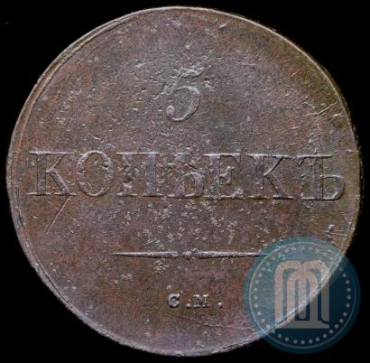 Picture 5 kopecks 1831 year СМ 