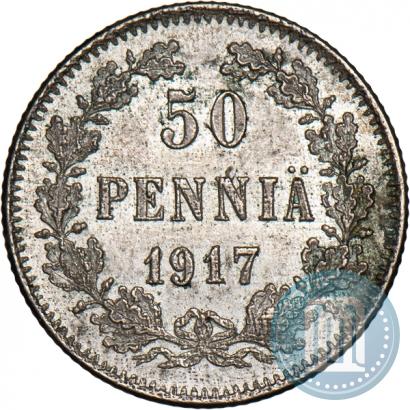 Picture 50 pennia 1917 year S 