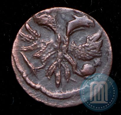Picture Polushka 1720 year  