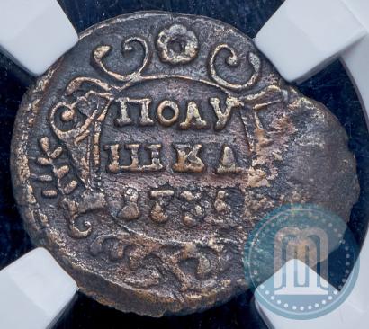 Picture Polushka 1735 year  
