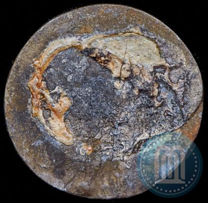 Picture Poltina 1864 year СПБ-НФ 