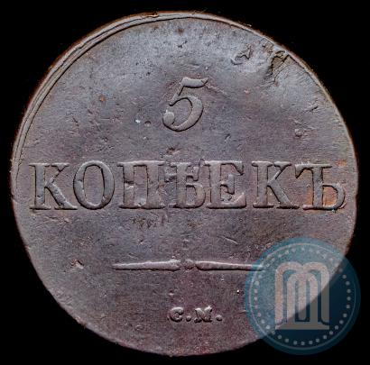 Picture 5 kopecks 1831 year СМ 