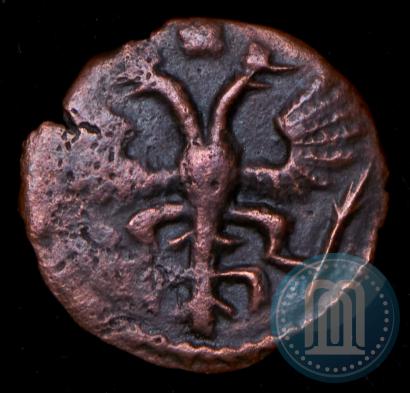 Фото Полушка 1720 года  