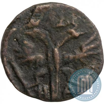 Фото Полушка 1721 года НД 