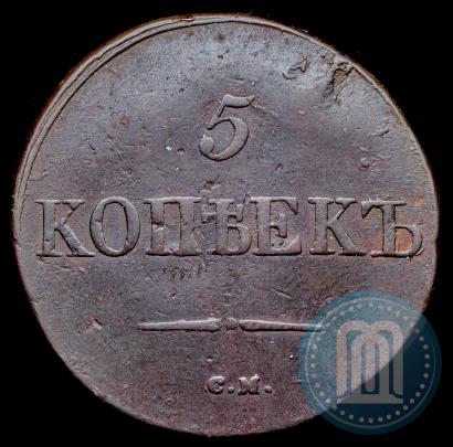 Picture 5 kopecks 1831 year СМ 