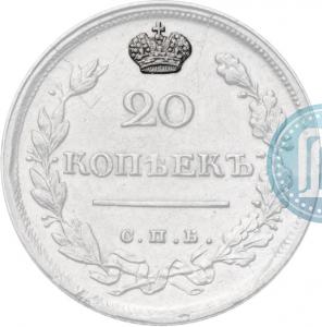Широкая корона