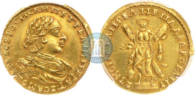 Picture 2 roubles 1723 year  "Portrait in armour"