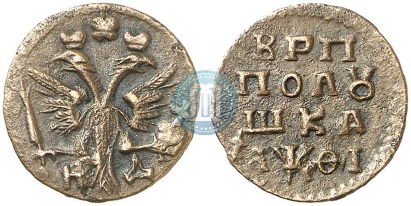 Фото Полушка 1719 года НД 