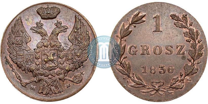 Фото 1 грош 1836 года MW 