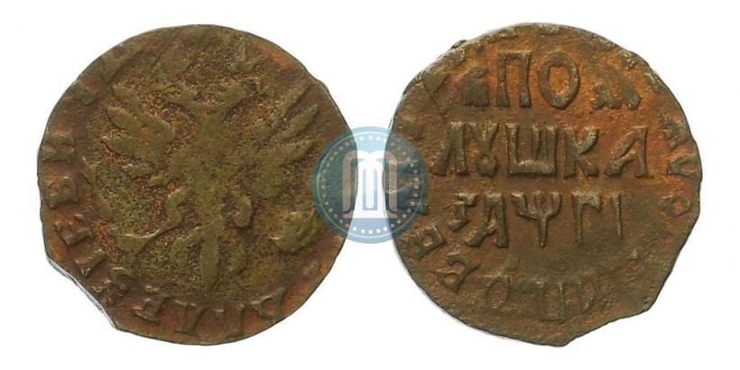 Picture Polushka 1713 year  