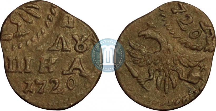 Фото Полушка 1719 года  