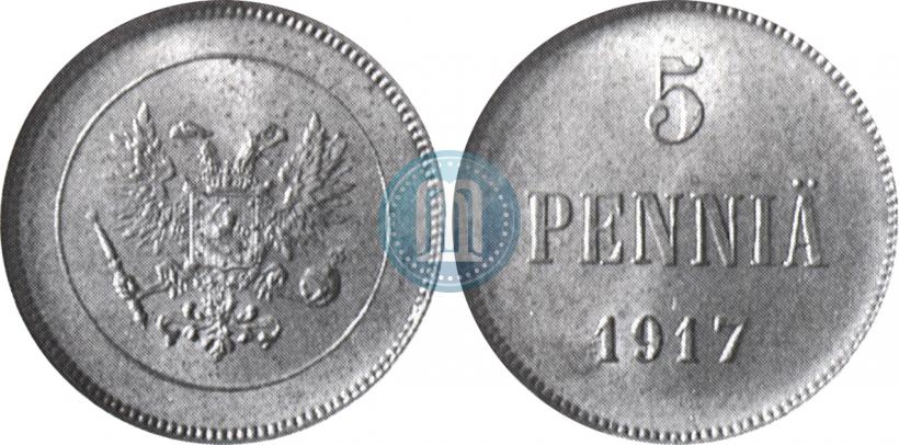 Фото 5 пенни 1917 года  