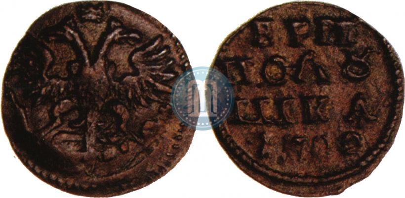 Picture Polushka 1722 year  